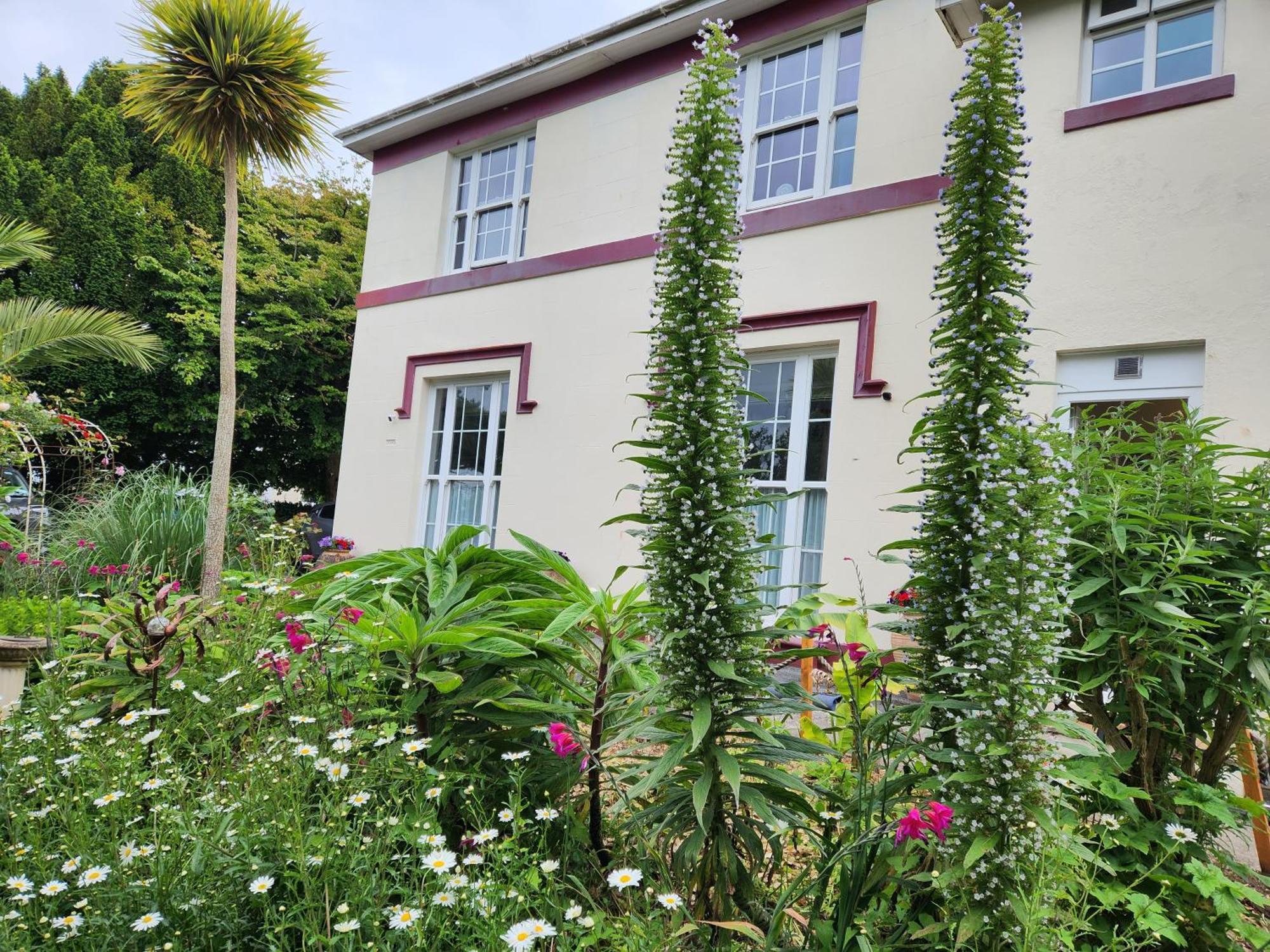 Rose Court Holiday Apartments Torquay Eksteriør bilde