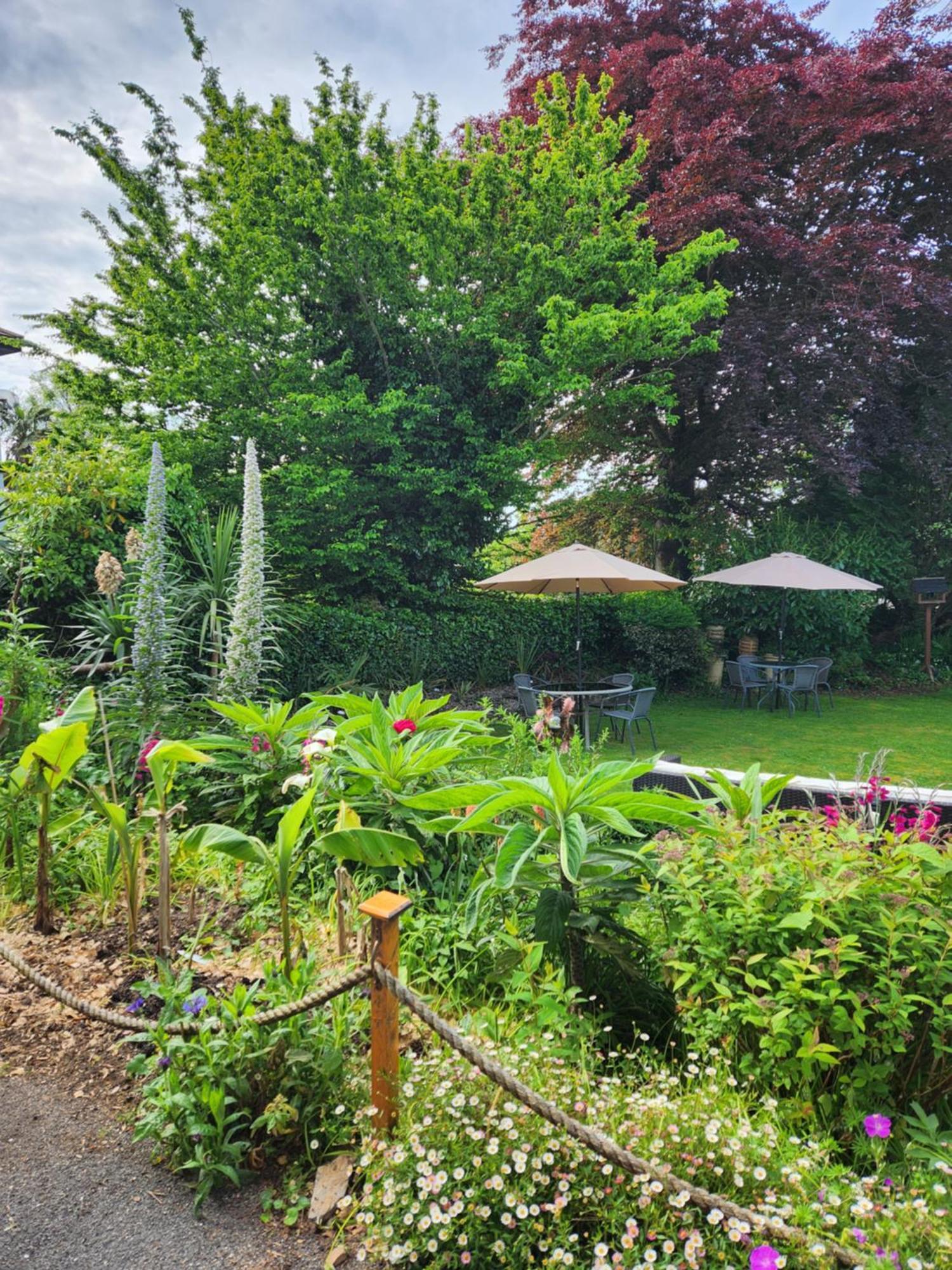 Rose Court Holiday Apartments Torquay Eksteriør bilde