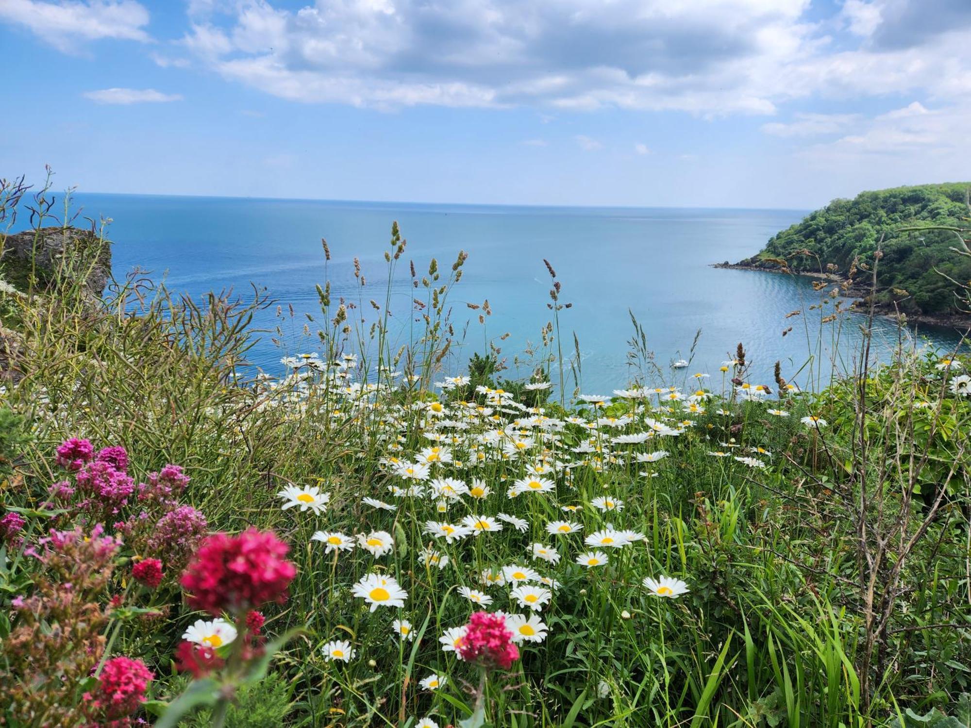 Rose Court Holiday Apartments Torquay Eksteriør bilde