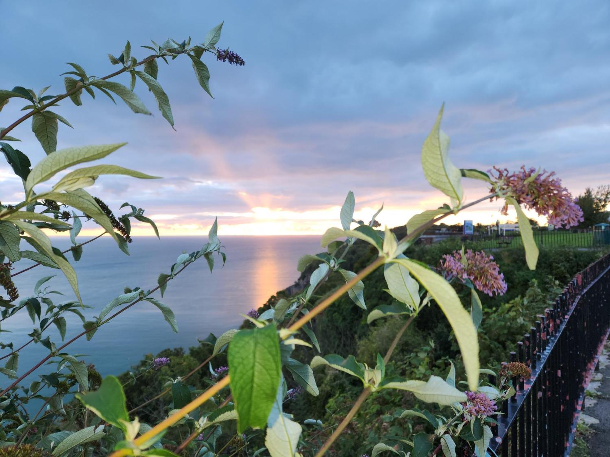 Rose Court Holiday Apartments Torquay Eksteriør bilde