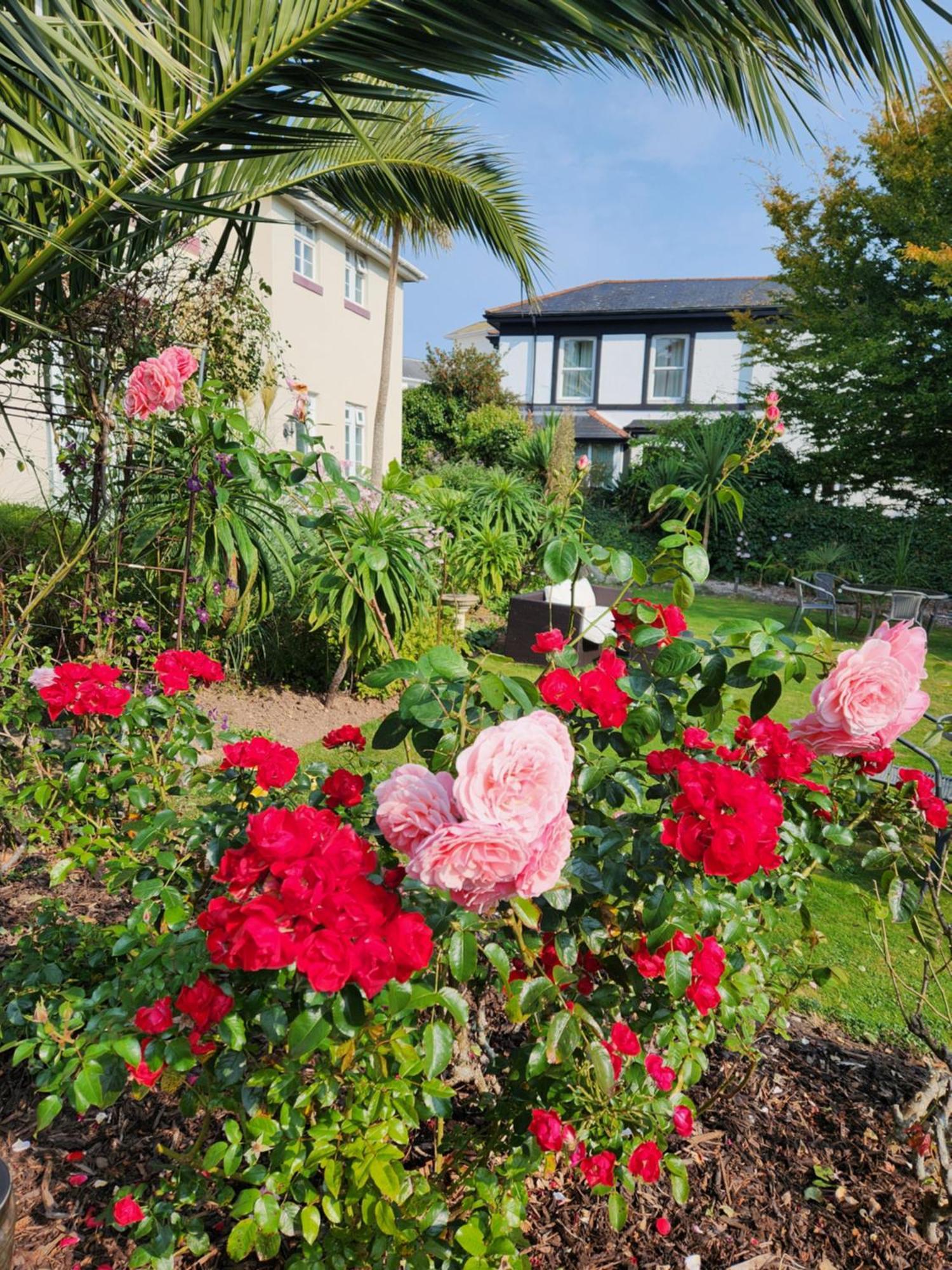 Rose Court Holiday Apartments Torquay Eksteriør bilde